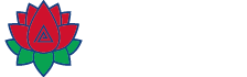NIBL Ace Capital